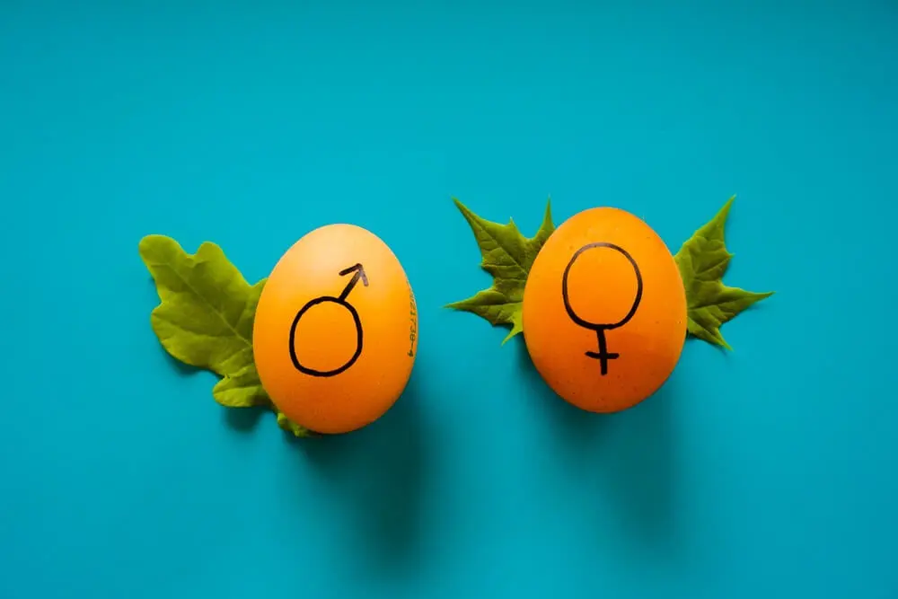 Gender Reassignment Surgery in India | Transgender Surgery, Consideration & Affordable Costs